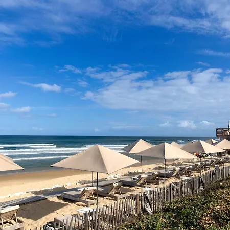 Ocean Avec Jardin