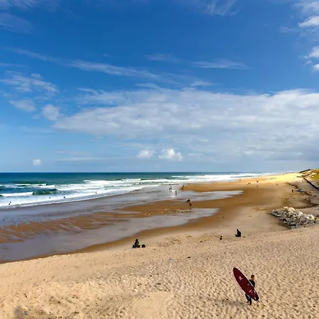 Ocean Avec Jardin * Lacanau
